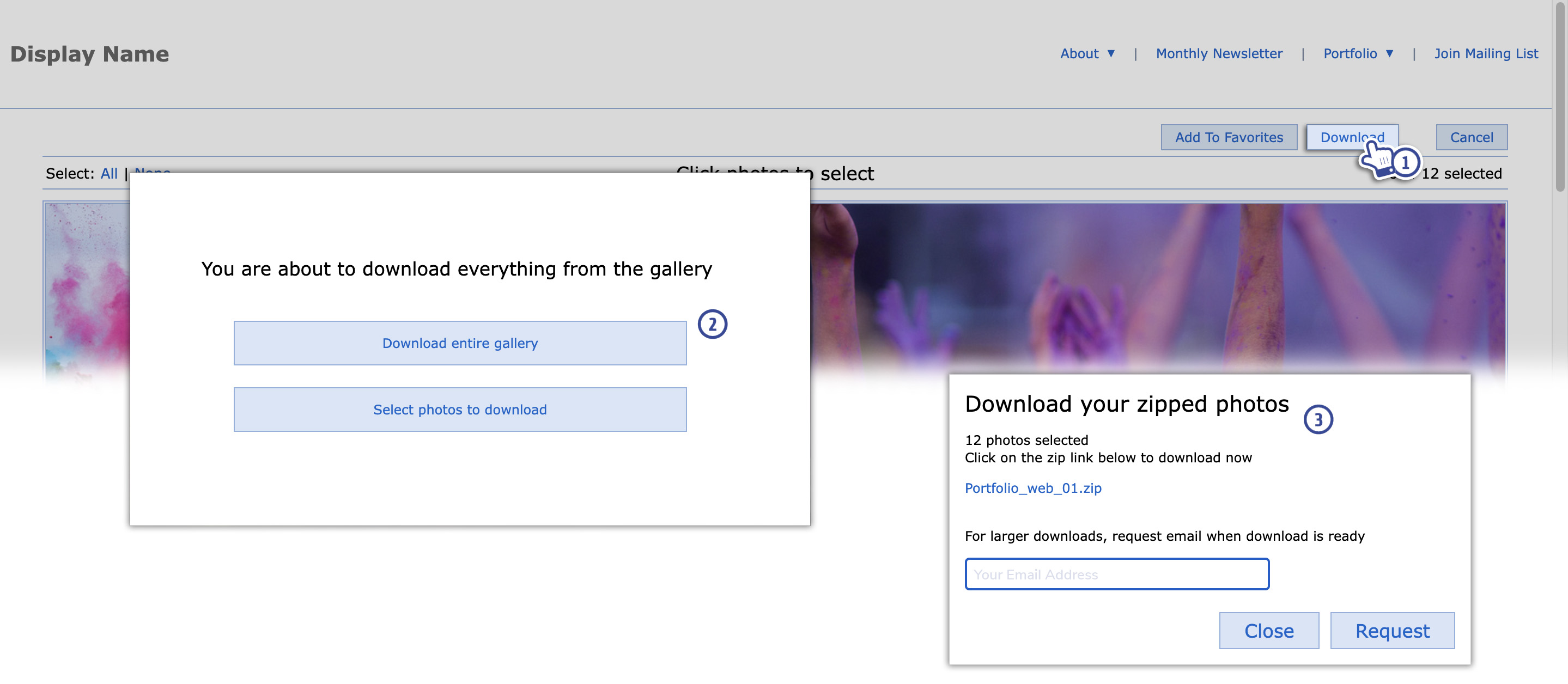 Displaying the Download Button in Gallery Thumbnails Pages Zenfolio
