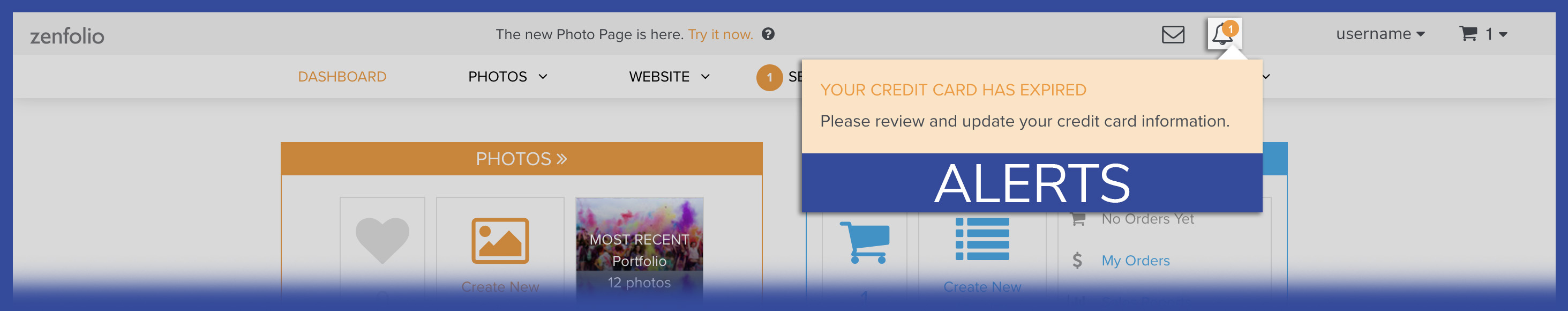 Dashboard Overview Zenfolio