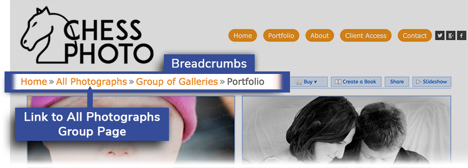crumbs_1.png